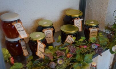 Gröberhof Straßwalchen