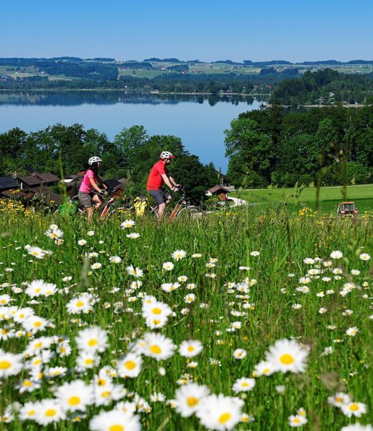 Radurlaub im Salzburger Seenland_Velodrom