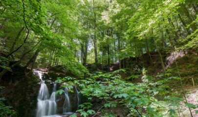 Teufelsgraben Seeham