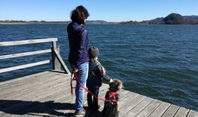 Mit Ihrem Hund ins Tierparadies