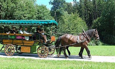 Reiten & Kutschenfahrten Seekirchen